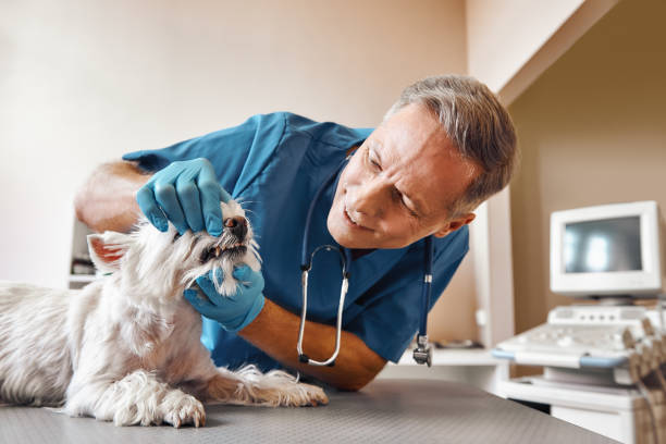 Best Holiday Emergency Dentist in Hurlburt Field, FL